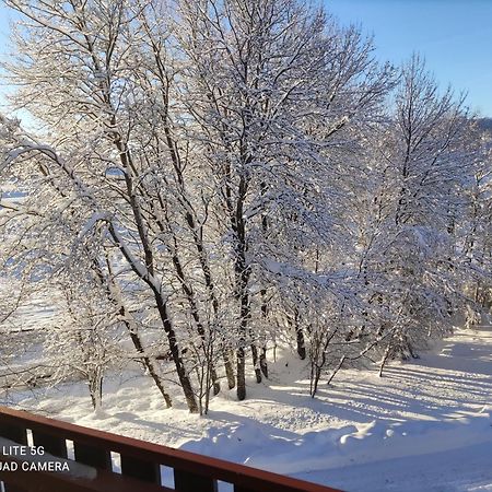 Kurhotel Schluchsee App 2313 - Geniesser-Apartment Mit Suedbalkon - Mit Indoorpool Schluchsee, Hochschwarzwaldkarte Eksteriør billede